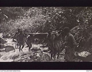 SALAMAUA AREA, NEW GUINEA. 1943-07-24. NATIVE STRETCHER BEARERS CARRYING A WOUNDED AUSTRALIAN SOLDIER, CROSSING BUIGAP CREEK, ON THE WAY TO THE AUSTRALIAN ADVANCED DRESSING STATION