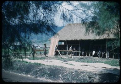 Native prisoners building the house : Minj Station, Wahgi Valley, Papua New Guinea, 1954 / Terence and Margaret Spencer