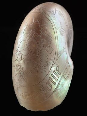 Carved Nautilus Shell