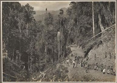 Mission Road extension beyond Ononge [workers in front of a cutting, 1] / Frank Hurley