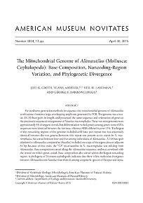 The mitochondrial genome of Allonautilus (Mollusca, Cephalopoda) : base composition, noncoding-region variation, and phylogenetic divergence