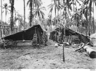 MUSCHU ISLAND, NEW GUINEA. 1945-10-27. A GENERAL VIEW OF JAPANESE LIVING QUARTERS ON THE ISLAND CONSISTING OF CRUDELY CONSTRUCTED SAC-SAC HUTS. THEY ARE NO MORE THAN FIVE FEET HIGH AND ILL KEPT. ..