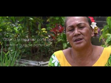 Projet RESCCUE en Polynésie Française (2017)
