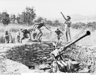 PORT MORESBY, PAPUA. 1942-07. AN A.I.F. ANTI-AIRCRAFT GUN CREW LEAP TO POSITIONS IN NEW GUINEA AS THE SPOTTER GIVES THE ALARM THAT JAPANESE PLANES ARE APPROACHING