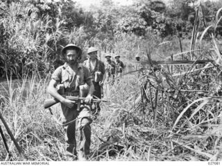 A patrol of the 2/31st Battalion negotiates a path through the native cane growing on the swampy river flats bordering the Brown River. A two-day rest at the river, during which time it was ..