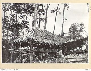 MOROKAIMORO, BOUGAINVILLE, 1945-06-05. CONSTRUCTING HOUSES AT THE NATIVE CAMP. FAMILIES ARE EVACUATED FROM JAPANESE TERRITORY AND FED BY ANGAU. THE NATIVES ASSIST IN THE TRANSPORT OF SUPPLIES TO ..