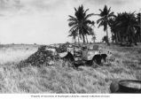 Weapons carrier overgrown with vegetation on Bikini Island, summer 1949