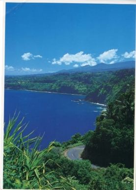 Postcard from Hawaii