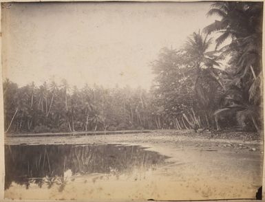 Pleasant Island, 1886