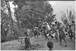 Pig festival, uprooting cordyline ritual, Tsembaga: men make stylized aggressive charge in front of government rest house, near clan boundary