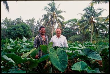 Two men standing in a plantation,Tonga