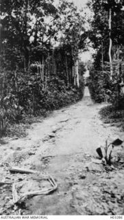 Kabakaul, New Britain. c. 1915. The field of fire from the first trench on the Kabakaul to Bitapaka Road