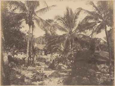 Mission Station, Nuie, 1886
