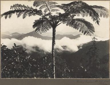 Looking towards Mount Yule from Dilava, [2] Frank Hurley