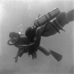 Divers near the ocean floor near Vava'u Island, Tonga