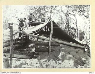 BOUGAINVILLE ISLAND. 1945-01-17. TROOPS OF THE ADVANCED HEADQUARTERS, 29TH INFANTRY BRIGADE PUTTING THE FINISHING TOUCHES TO THE ROOF OF THEIR OFFICER- IN- CHARGE'S OFFICE