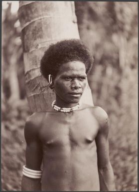 A man from the village of Fiu, north-west Malaita, Solomon Islands, 1906 / J.W. Beattie