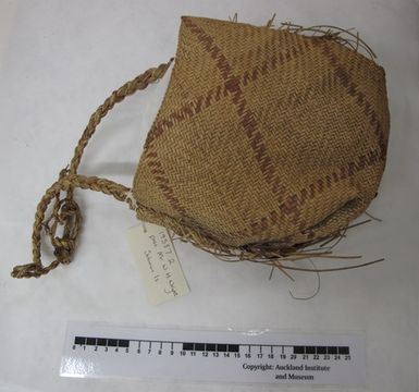 bag