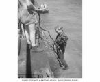 Crew emptying a net full of fish after a dive, Bikini Atoll, 1947