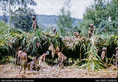 Men building with plant material