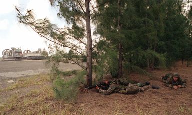 US Marine Lance Corporal (LCPL) Walter Embser (left) and Private First Class (PFC) John Petersen both armed with 5.56mm M16a2 assault rifles, provide perimeter security from a wooded area at Kaneohe Bay Marine Corps Station, HI. Part of Operation RIMPAC 96, Marines from the 11th Marine Expeditionary Unit (MEU) Camp Pendleton, CA conduct simulated Noncombatant Evacuation Operations (NEO). The US Navy Landing Craft Air Cushioned (LCAC 33) is parked in the background