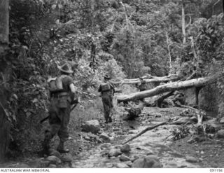 KARAWOP, AITAPE-WEWAK AREA, NEW GUINEA. 1945-04-22. FORWARD SCOUTS AT THE LEADING SECTION OF THE C COMPANY, 2/1 INFANTRY BATTALION PATROL. THE PATROL, LED BY LIEUTENANT G.M. NATHAN, IS MOVING ..