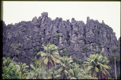 Palms & rock outcrop