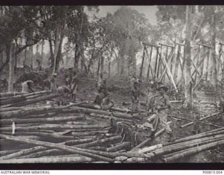 LAE, NEW GUINEA. HEADQUARTERS, NEW GUINEA FORCE. ENGINEERS AND NATIVE MEN PREPARING TIMBER FOR CONSTRUCTION WORK. (DONOR A. BARING)