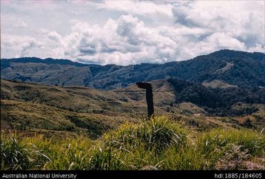 Okapa - Okapa Post -snake-shaped boundary post