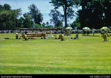 Kokopo Show, wood chopping competition