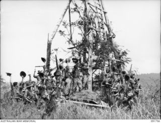 WEWAK, NEW GUINEA. 1945-05-10. MEMBERS OF D COMPANY, 2/4 INFANTRY BATTALION, THE FIRST TROOPS INTO WEWAK, HOIST THE COMPANY FLAG. THIS FLAG WAS CARRIED THROUGH THE 1914-18 WAR BY 4 BATTALION, 1ST ..