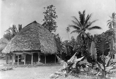 round hut, hut, palm trees, greenery, photography, ph