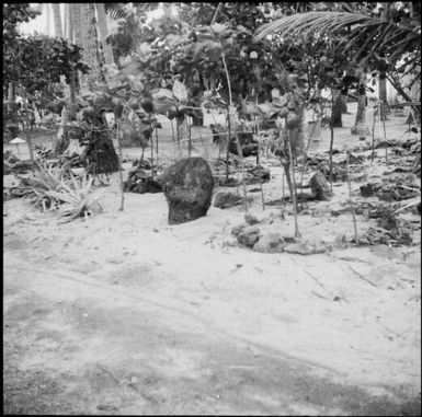 Grave site amongst the trees, Fiji, 1969 / Michael Terry