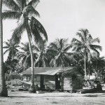 A composite house made of steel sheets, wooden boards and leaves of coconut palm