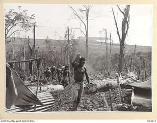 WEWAK AREA, NEW GUINEA. 1945-06-27. NATIVE CARRIERS BRINGING UP FOOD TO B COMPANY, 2/8 INFANTRY BATTALION FORWARD POSITIONS ON HILL 2