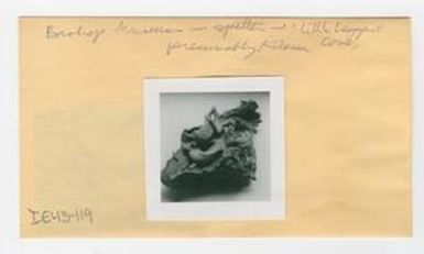 [Spatter in Hawaii, envelope IE43-119]