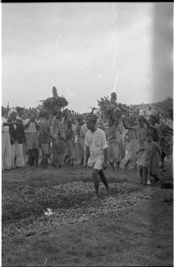 Fieldwork in Fiji