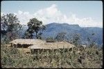 Traditional houses next to a garden, Bismarck mountains in background