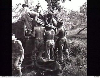 PORT MORESBY, NEW GUINEA. 1943-11-15. GUN CREW OF THE 2/5TH AUSTRALIAN FIELD REGIMENT LOADING A DISMANTLED "SHORT" 25-POUNDER GUN INTO A THREE TON TRUCK. SHOWN ARE:- NX31832 BOMBARDIER J. L. ..