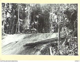 TOROKINA AREA, BOUGAINVILLE ISLAND. 1945-02-10. TROOPS OF NO 3 PLATOON, 2/2ND FORESTRY COMPANY ROLLING LOGS DOWN THE SLIDE TO THE LOADING AREA. IDENTIFIED PERSONNEL ARE:- SAPPER F.S. MCARTHUR (ON ..