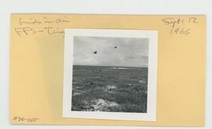 [Birds in Hawaii, envelope IE30-015]