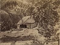 Samoan hut