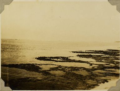 Coral reefs on an island in the Ha'apai Group, 1928