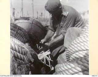 HANSA BAY, NEW GUINEA. 1944-07-10. NX115529 LIEUTENANT R.A. DICKSON, 8TH FIELD COMPANY, ROYAL AUSTRALIAN ENGINEERS, CUTS WIRES LEADING TO A BOOBY TRAPPED JAPANESE AERIAL BOMB AT AN ABANDONED ..