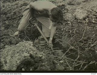 New Britain. December 1943. The American assault troops set to work to dig slit trenches as a protection against possible aerial bombing or strafing, as soon as they landed at Arawe. Japanese ..