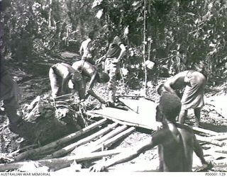 THE SOLOMON ISLANDS, 1945-04-24/27. NATIVE PORTERS UNDER AUSTRALIAN SUPERVISION CARRYING OUT CONSTRUCTION WORK ON BOUGAINVILLE ISLAND. (RNZAF OFFICIAL PHOTOGRAPH.)