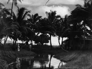 [View of people near a body of water in front of palm trees]