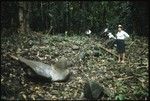 Frances Harwood and men behind petroglyph carvings