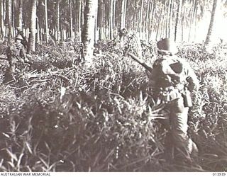 BUNA AREA, PAPUA, 1942-12-28. SOLDIERS IN BATTLE. TANKS HAVE CRASHED THROUGH A JAPANESE CHAIN OF HEAVILY FORTIFIED PILLBOXES. (PHOTOGRAPHER: G. SILK)