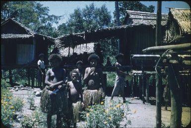 Village houses (6) : Bwalalea village, D'Entrecasteaux Islands, Papua New Guinea, 1956-1958 / Terence and Margaret Spencer